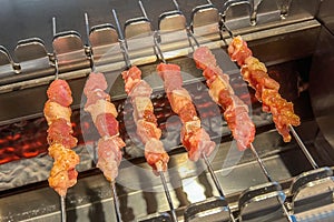 Grilled lamb kebabs from a food stall