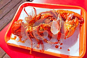 Grilled large lobster in mexican restaurant