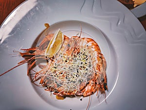 Grilled large tiger prawns with garlic, lemon and herbs on a large white plate