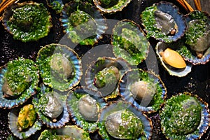 Grilled limpets with green mojo, typical avocado in Lanzarote