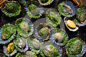 Grilled limpets with green mojo, typical avocado in Lanzarote photo