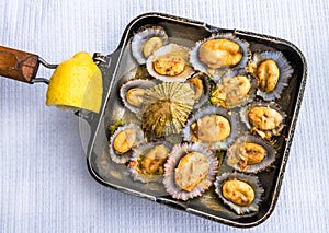 Grilled limpets in the pan served with lemon