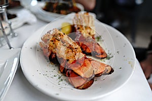 Grilled lobster tails