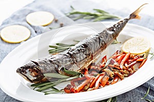 Grilled Mackerel Scomber Fish Healthy Cooked
