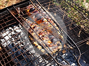 Grilled mackerels on the grill on campfire