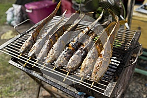 Grilled marinate catfish