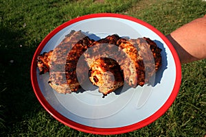 Grilled marinated chicken breast 4