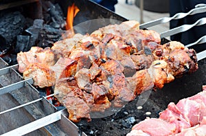 Grilled marinated skewers on the grill.