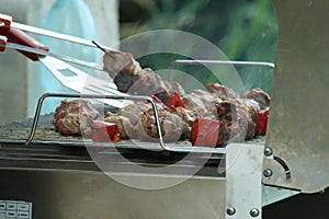 Grilled meat