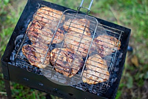 Grilled meat in a barbecue with fire and coals. Fry in nature