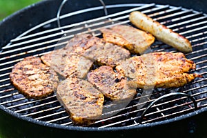 Grilled Meat,Barbecue in the Garden
