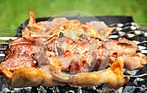 Grilled meat and chicken