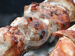 Grilled meat close-up