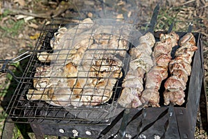 Grilled meat coals and logs