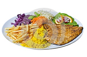 Grilled meat with freshness salad and rice