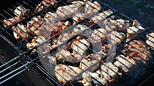 Grilled meat on the grill food