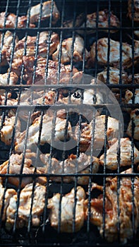 Grilled meat on the grill food