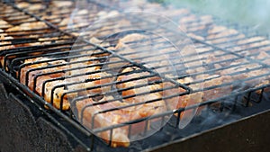 Grilled meat on the grill food