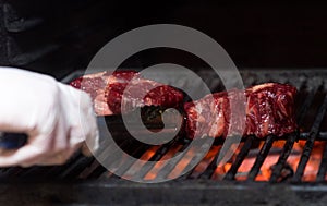 Grilled meat and human hand