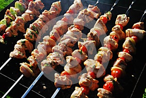 Grilled meat on metal skewers