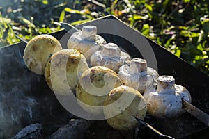 Grilled meat and mushrooms