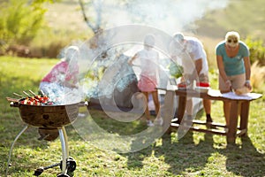 Grilled meat skewers barbecue