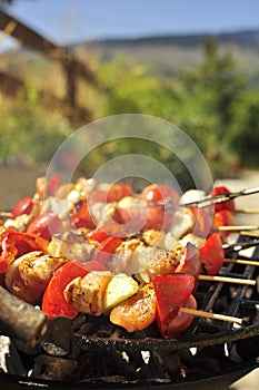 Grilled Meat Skewers on the BBQ