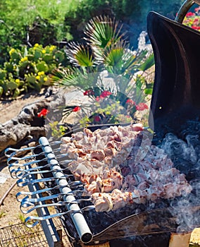 Grilled meat in the summer garden on the background of the sea