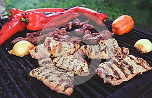 Grilled meat and vegetables