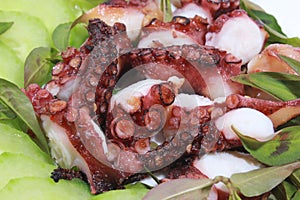 Grilled octopus