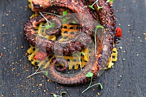 Grilled Octopus appetizer with small potatoes, close view