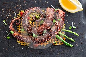 Grilled Octopus appetizer with small potatoes, close view