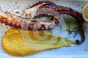 Grilled octopus on a blue plate with vegetables in restaurant in Greece