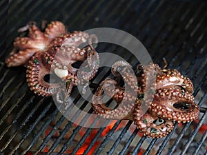 Grilled octopus, fish is cooking on a grill, close up