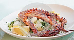 Grilled octopus on a plate with potato and lemon