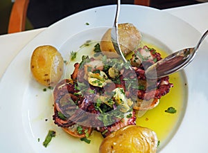 Grilled Octopus in Portugal