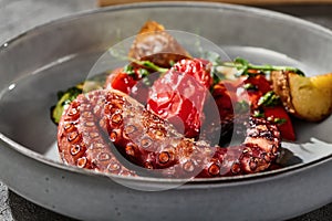 Grilled octopus on rustic plate, bright lighting, closeup composition with