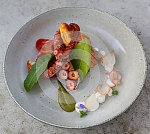 Grilled octopus served in gourmet restaurant photo