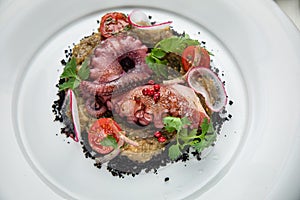 Grilled octopus with tomatoes, radish and sauce