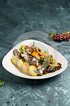 Grilled octopus on a white plate on wooden background