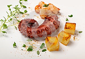 Grilled octopus on white restaurant plate served with shrimps