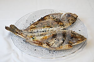 Grilled opened gilt-head bream