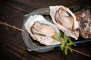 Grilled oysters - Miyajima famous dish - Hiroshima - Japan