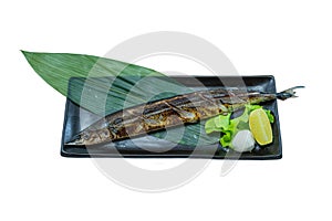 Grilled Pacific Saury Fish Steak - Japanese Food Style on White Background