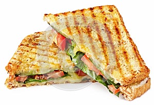 Grilled Panini