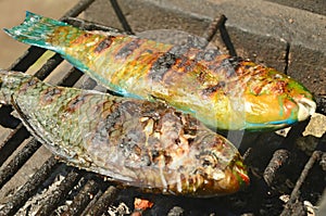 Grilled Parrot Fish