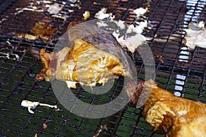 Grilled pieces of fish on a barbecue grill outdoors