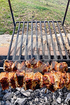 Grilled pieces of pork meat on metal skewers. Shashlik or shish kebab prepared on barbecue grill over hot charcoal