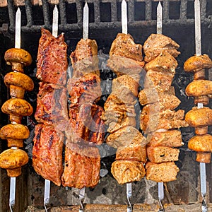 Grilled pieces of pork meat and mushrooms on metal skewers. Shashlik or shish kebab prepared on barbecue grill over hot charcoal