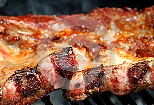 Grilled Pork Chops with barbecue in the garden 5